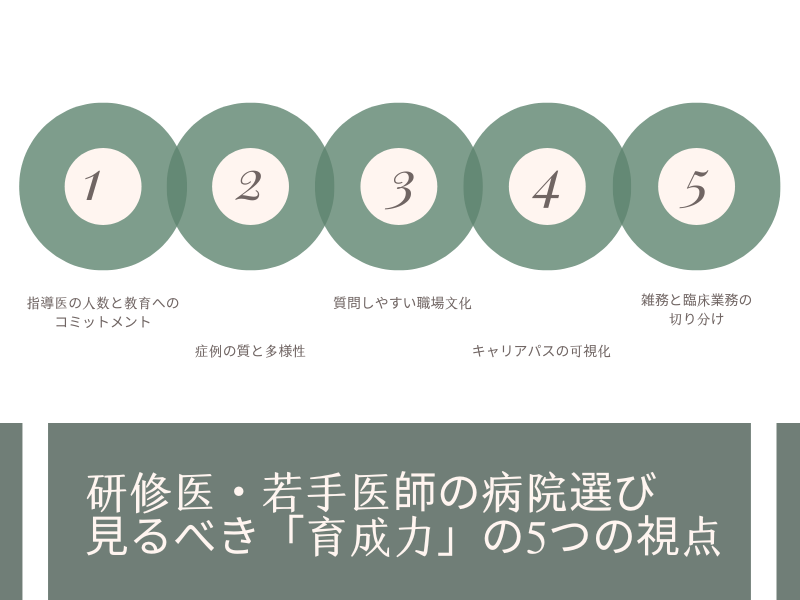 研修医・若手医師の病院選びで見るべき「育成力」の5つの視点